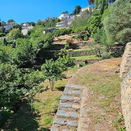 Prestige Avec Piscine - Dans Les Hauteurs De Bastia (Corsica)