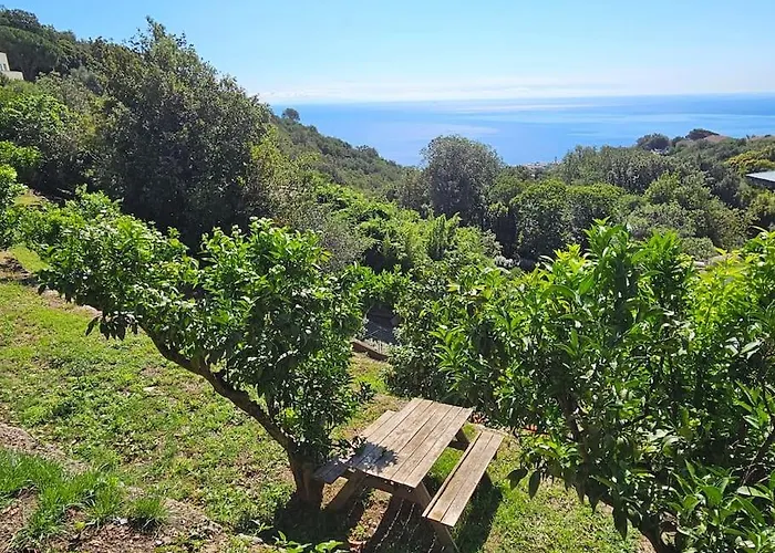 Prestige Avec Piscine - Dans Les Hauteurs De Villa Bastia (Corsica)