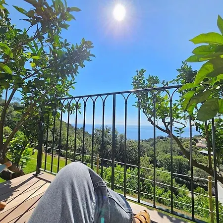 Villa Prestige Avec Piscine - Dans Les Hauteurs De Bastia