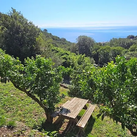 Prestige Avec Piscine - Dans Les Hauteurs De Villa Bastia (Corsica)