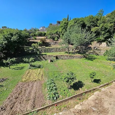 Prestige Avec Piscine - Dans Les Hauteurs De Bastia Villa *