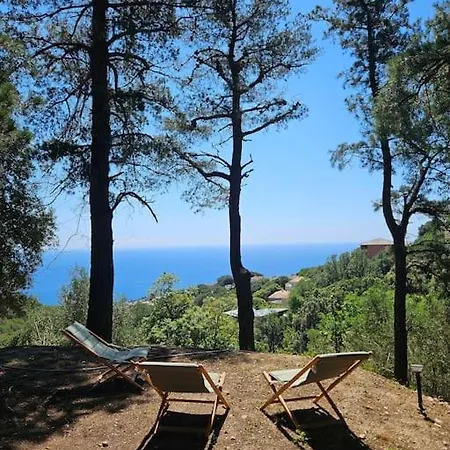 Prestige Avec Piscine - Dans Les Hauteurs De Bastia * Bastia (Corsica)
