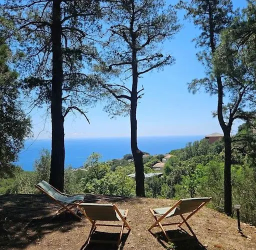 Prestige Avec Piscine - Dans Les Hauteurs De * בסטיה